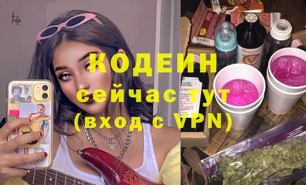 соль ск Инсар