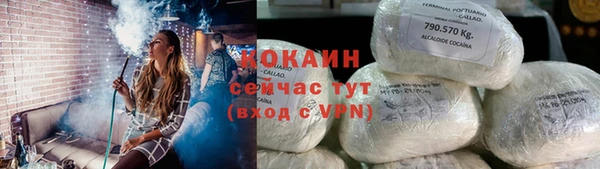 соль ск Инсар