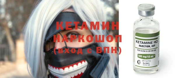 соль ск Инсар