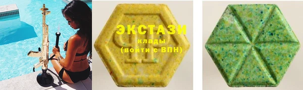 соль ск Инсар