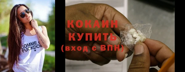 соль ск Инсар