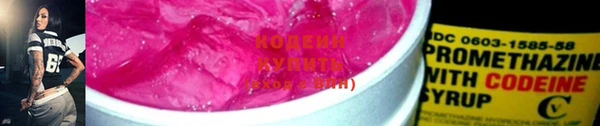 стафф Инта