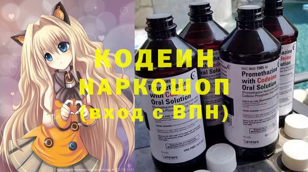 герыч Иннополис
