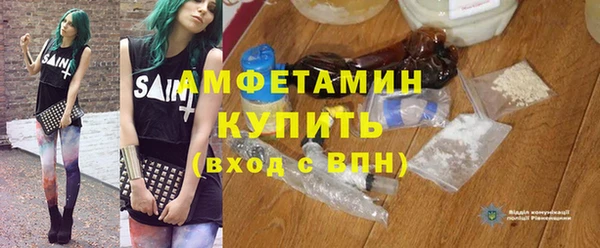соль ск Инсар