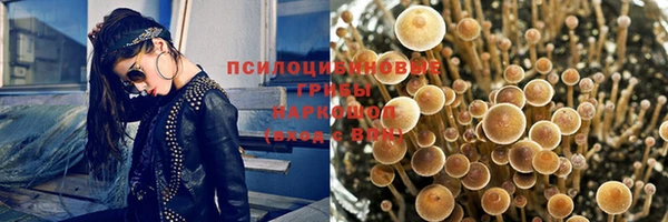 герыч Иннополис