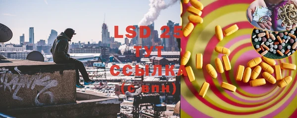 соль ск Инсар