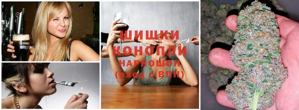 стафф Инта