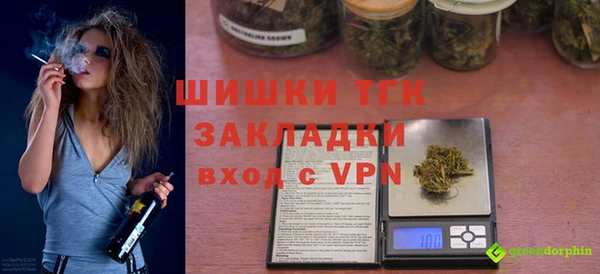 соль ск Инсар