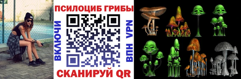 Купить где  Гагарин  Псилоцибиновые грибы GOLDEN TEACHER 